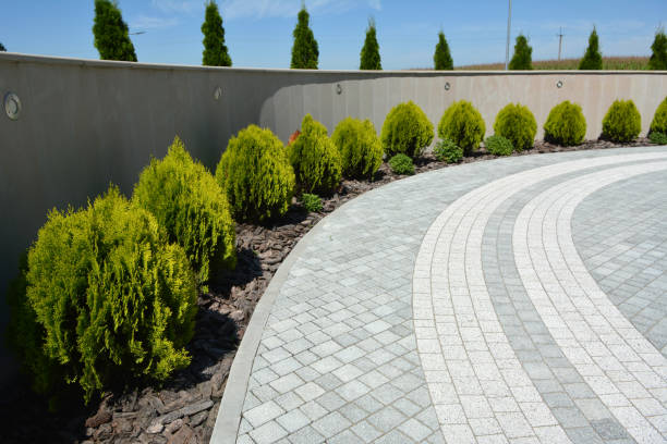 Reasons to Select Us for Your Driveway Paving Requirements in West Glendive, MT
